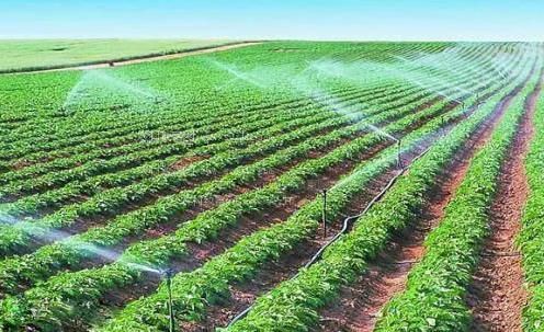 JJ插上美女的菊花视频啪啪农田高 效节水灌溉